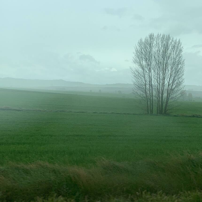 Madrid to Pamplona. Day 2:3
Madrid is a massive, sprawling city, with the most c