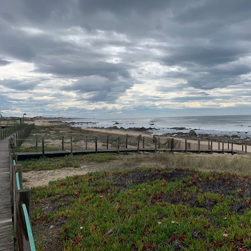 Morning walk on the local beach. The waves are huge here. Fabulous sets line up 