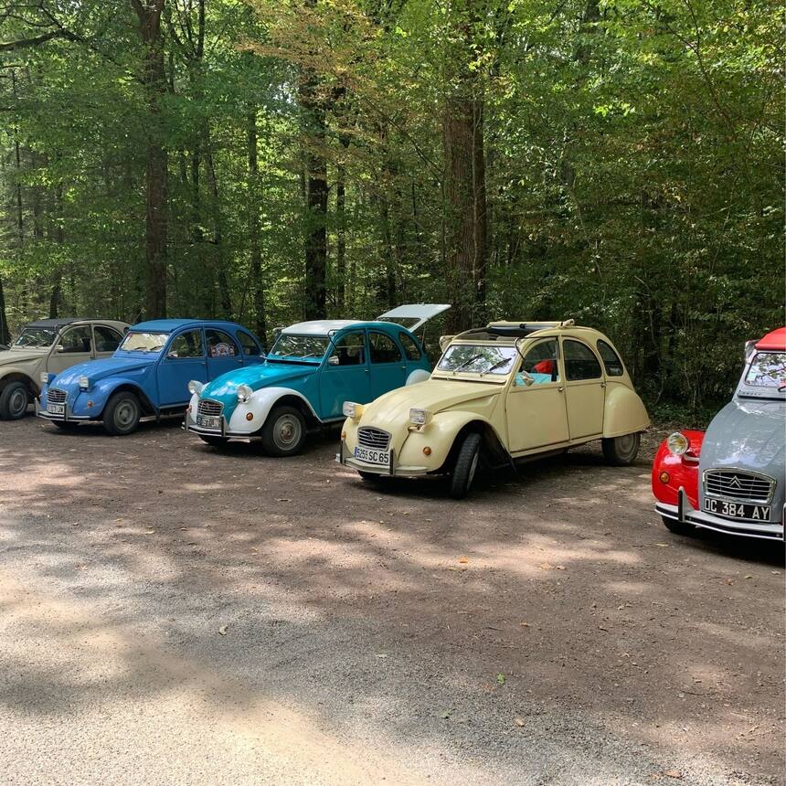 The local zip line park was having a little 2cv party. Soo cute.