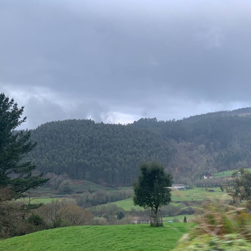 To Bilbao: