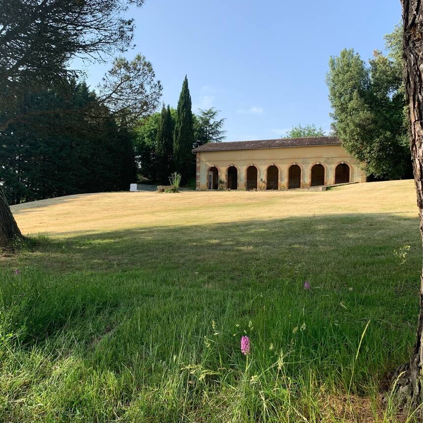 More mowing reveals a lovely shady spot below the pool that might make a good pé