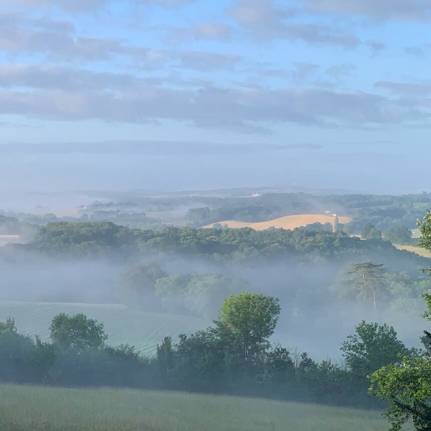 Morning mists.