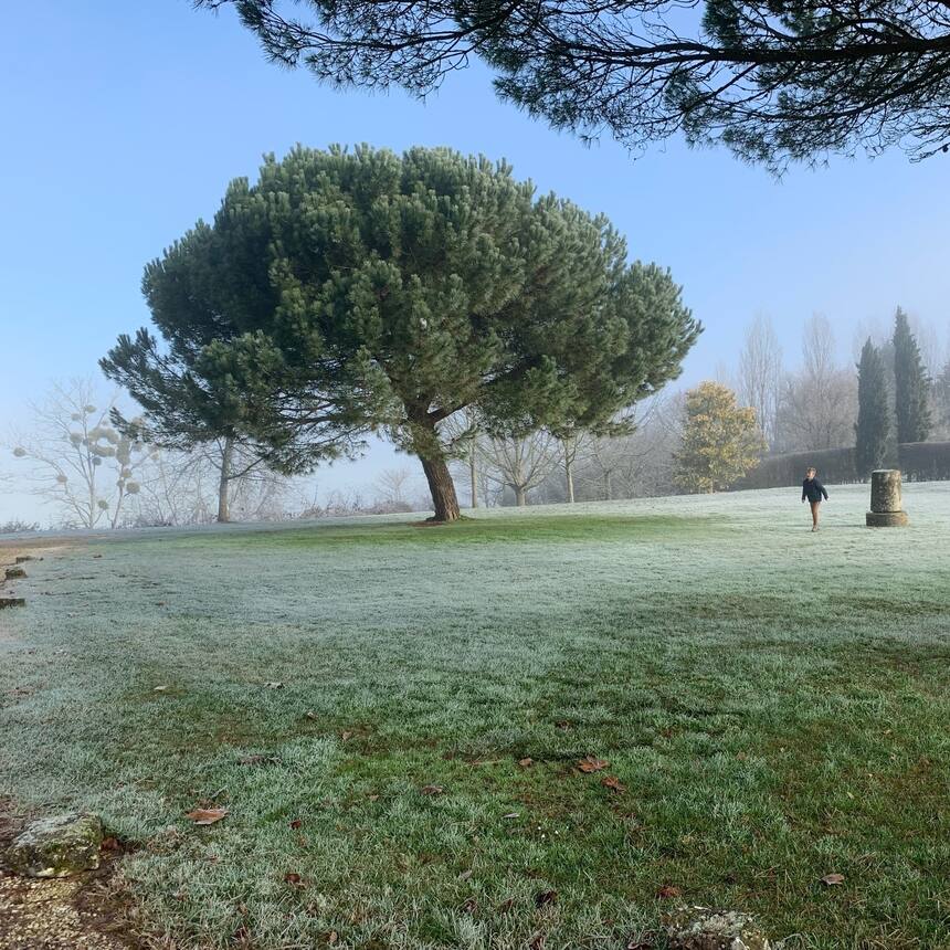 Through a very foggy, frozen landscape down to #32 again to meet with roofers an