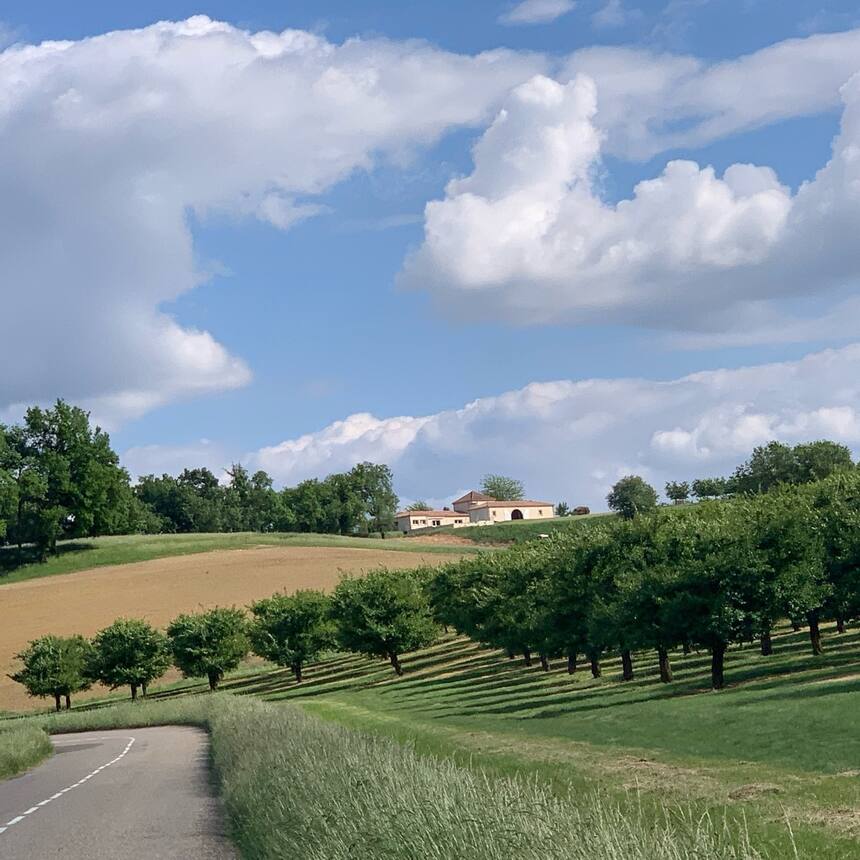 We drove up to Agen to pick up my Cart de Sejour!  Such a pretty drive.
