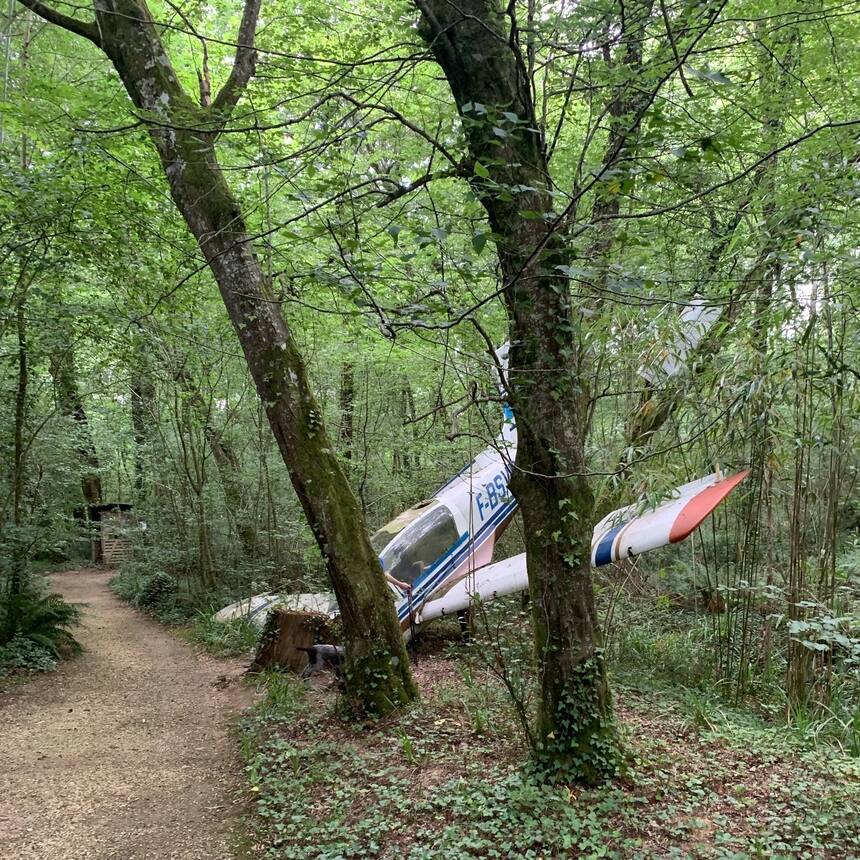 It also has some interesting art installations hidden in the jungle.