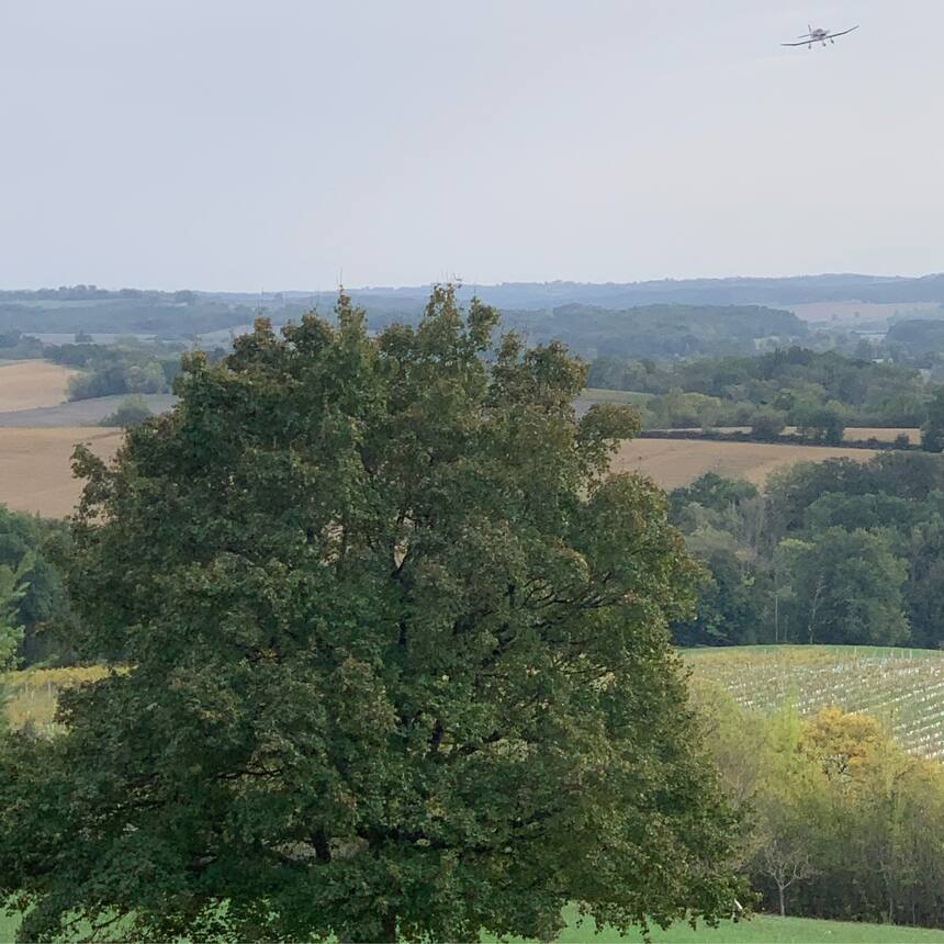 Our neighbor flies small planes out of a local recreational airport, and was kin