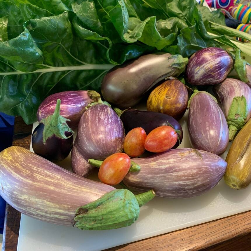 Thai eggplant with basil and homemade hoisin sauce. From the garden.