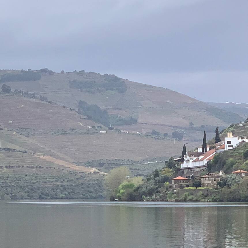 Another boat tour on the upper Douro river. This is the area with all the vineya