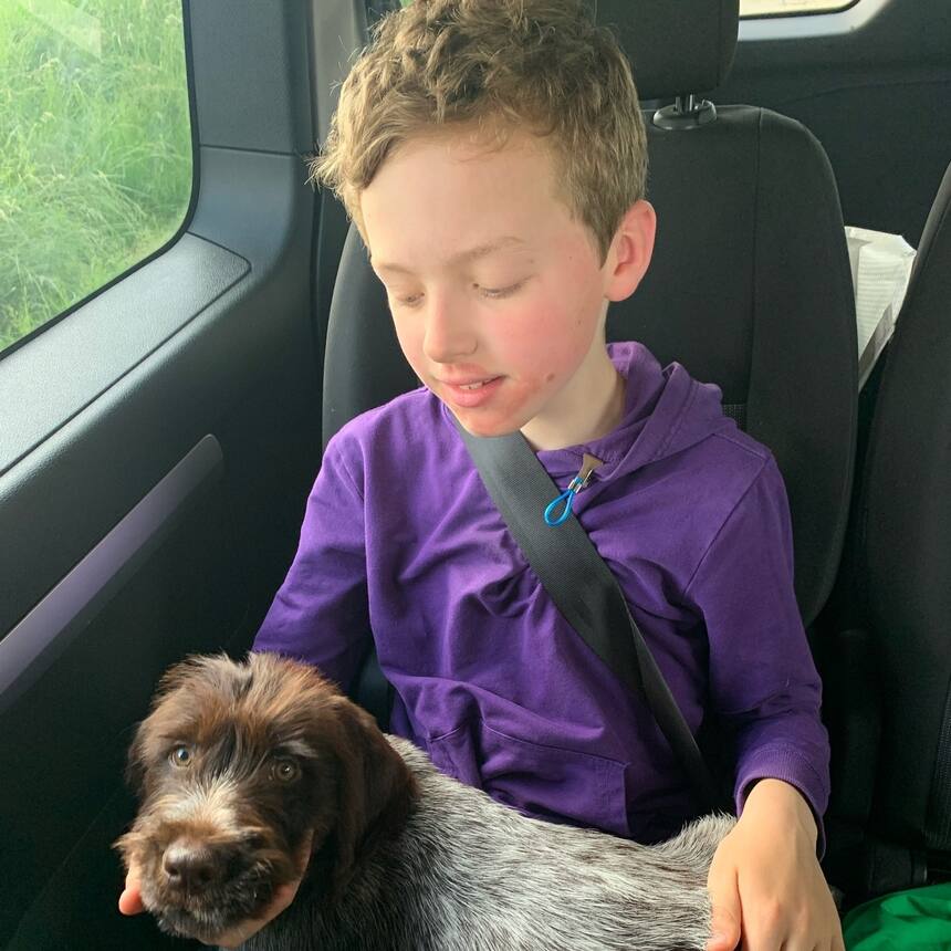 Then we went and picked up our new puppy. We are delighted to introduce ‘Griffin