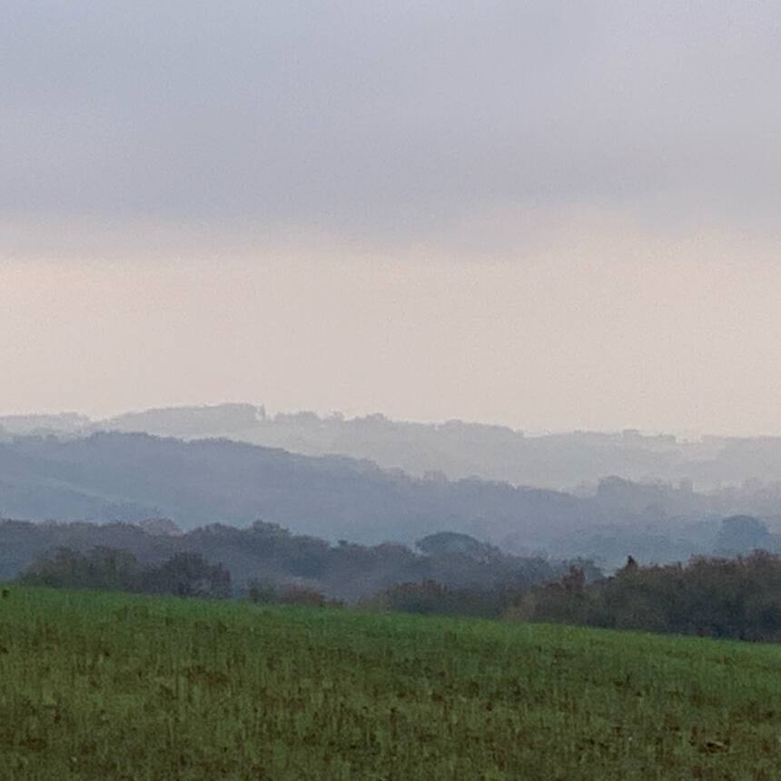 Misty loveliness.  The frozen mists are settling in for the duration now… it’s t