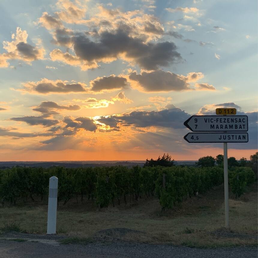 This evening’s sunset: Just wow!