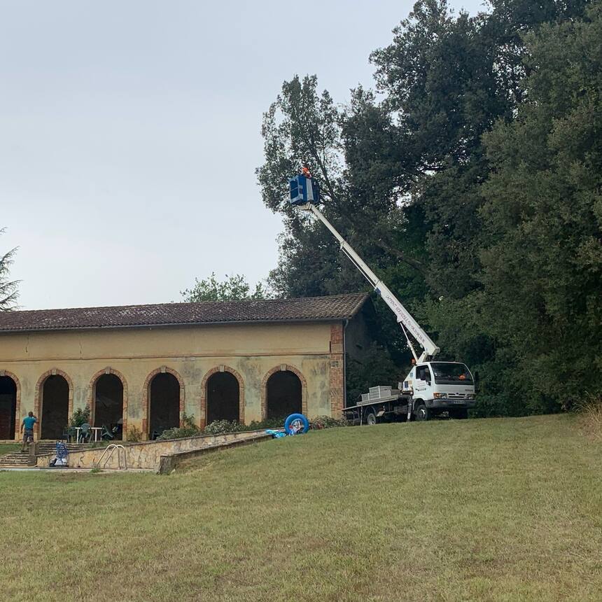 We had these guys take down a tree that was overhanging the orangery roof.  It w