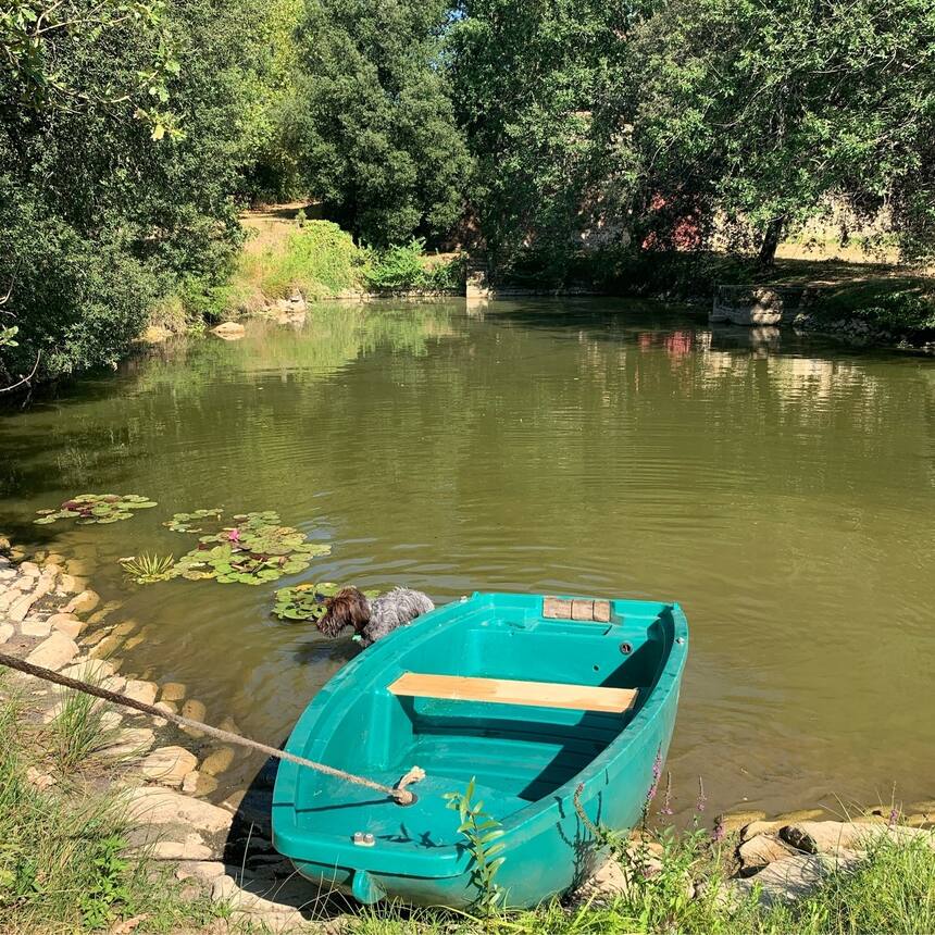 We bought a boat:
