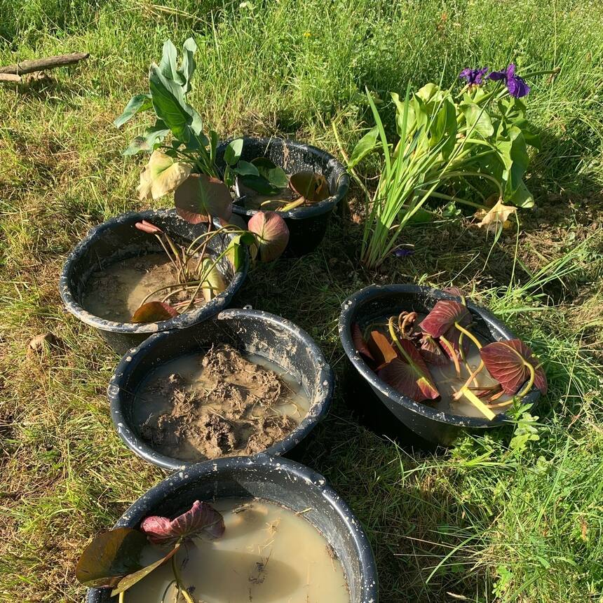 Squelching clay between my fingers. I’m cleaning pebbles, roots and plants out o