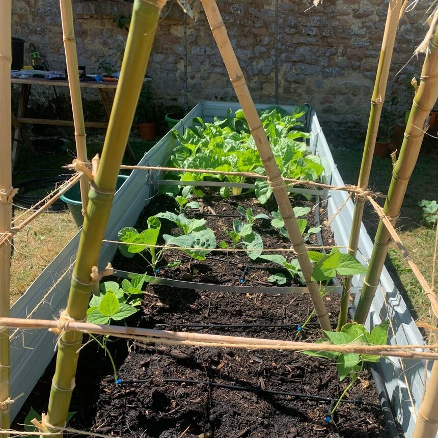 I’m sooo proud of the veggie garden 🥰.  The new irrigation system for the veggie
