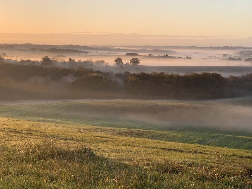 Morning mists.
