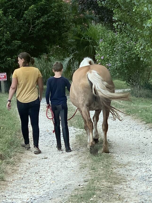 Sofian’s equitherapie class.
