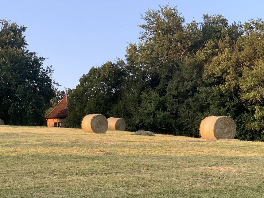 One of my favorite times of year here. The bails of hay aren’t here for long, bu