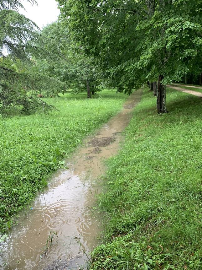 Soo much rain! The streets of local villages are strewn with downed trees this m