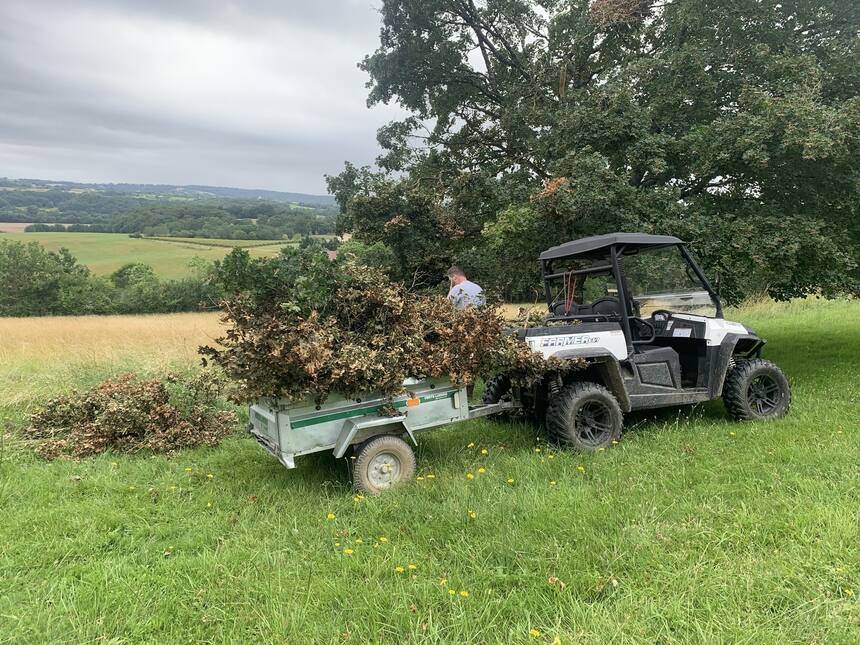We have had to do a huge amount of clean up following the storms. I’m not certai