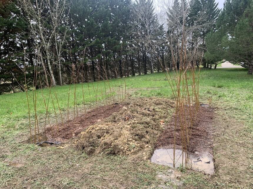 We planted, what will eventually become a willow tunnel. It’s in the soggiest co