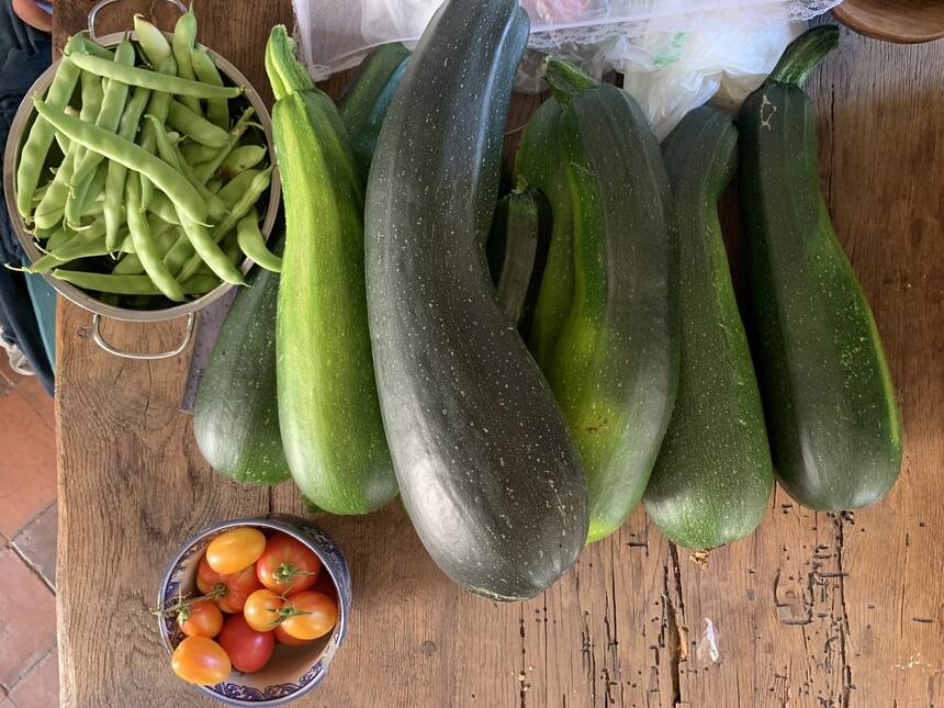 A big harvest from my little potager garden.