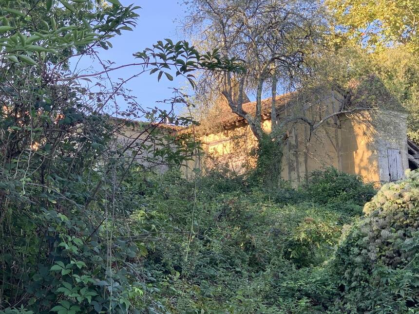 We lost a tree in the June storm, but gained a new view of the Colombage.
