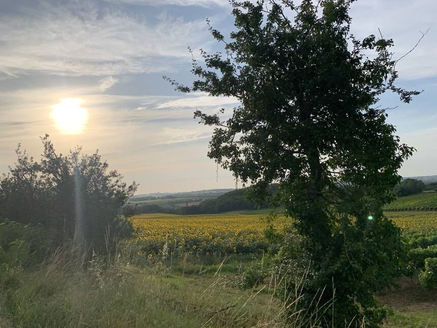 Driving to the Brico in Agen, followed by dinner in Aignan.