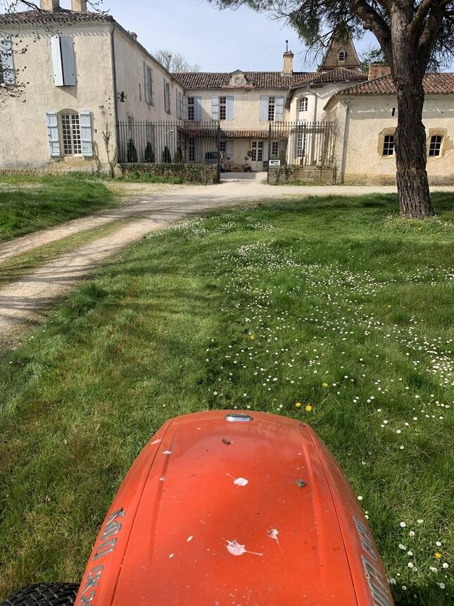 The mowing begins. 😆