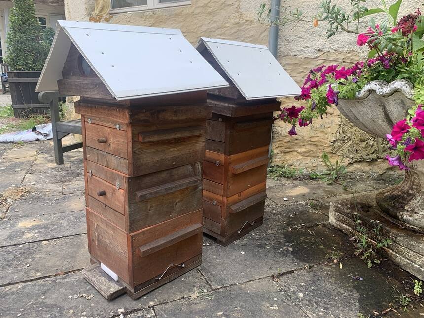 New bee hives! Now I just need to make them hornet proof before we invite new bu