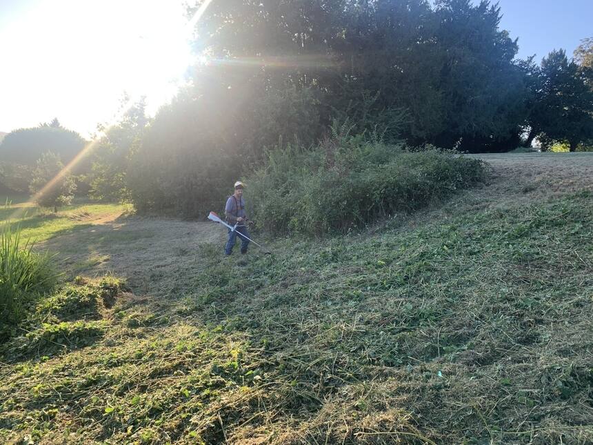 Brush cutting… slow and steady. This is where the solar panels are going.