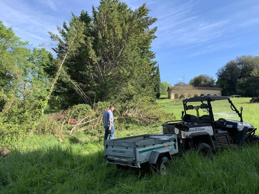 Cleaning up downed trees