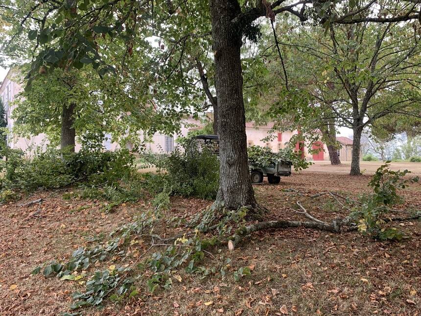 And more pruning