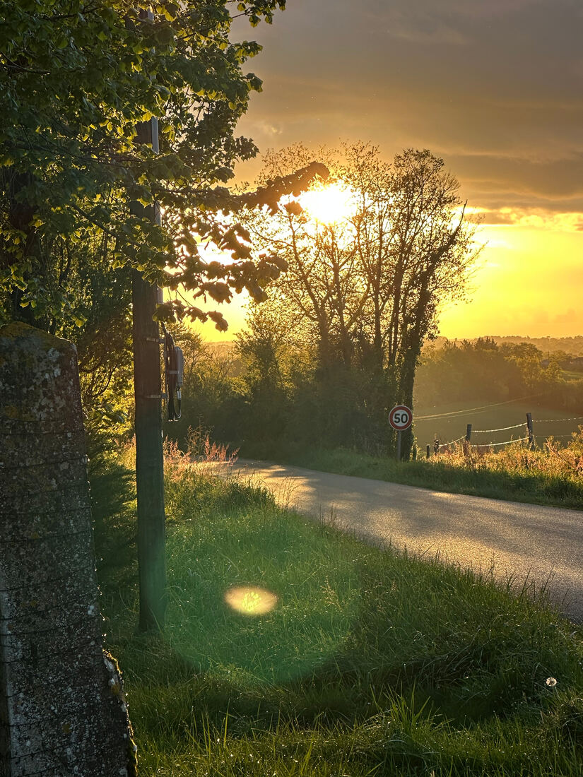 Evening light.